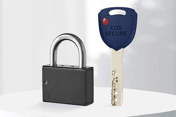 black padlock and key