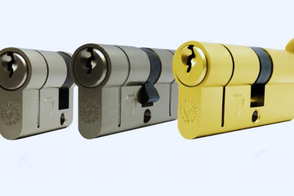 Door compatibility showing advantages and disadvantages of a euro cylinder lock
