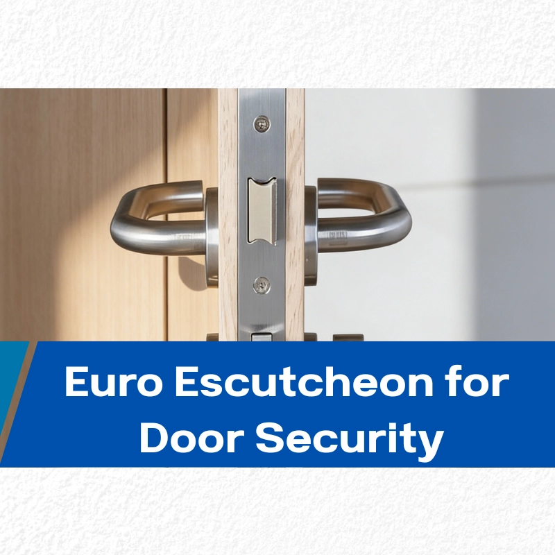 What Is a Euro Escutcheon and Why It Matters for Business Security